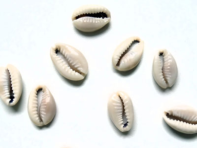 贝壳